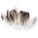 WHOLESALE 9-13cm Duck Feathers for PARTY MASK MAKING 20PCS
