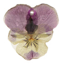 Pansy Epoxy Resin Real Dried Flower Pendant Charms for Jewelry Making DIY Necklace Earring w/Hole