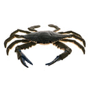 Highly Details Nature Animal Model Action Figurine Kids Educational Novelty Toy- Crab