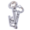 Key Lock Puzzle Classic Metal Brain Teaser IQ EQ Test Toys for Kids Adults Children Birthday Funny Gift Silver