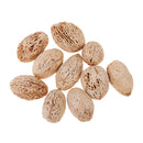 12 Pieces Natural Wood Mango Mini Dried Flowers Table Ornaments Home Room Party Christmas Decorations DIY Scented Sachets - 20-25mm