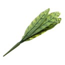 Artificial Calathea Insignis Petersen Leaf Plants Silk Foliage Grass Green
