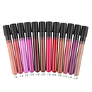 Bulk 12 Colors Sexy Matte Waterproof Makeup Lipstick Liquid Pencil Gloss Set