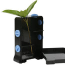 150x98mm Plant Lucipetal Box Growing Phototropism Demonstration Kids Biology Learning Science Toy