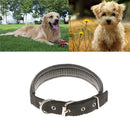 Soft Foam Comfortable Durable Use Adjustable Padded Nylon Pet Puppy Dog Basic Collar Safety Neck Strap Black L
