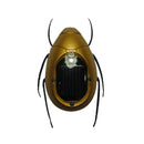 Novelty Solar Scarab Sunshine Powered Insects Animals Model Kids Fun Toy