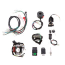 Wire Harness Coil CDI Assembly Wire Harness 50/70/90/110cc ATV Buggy Quad Scooter Dirt Bike