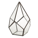 Geometric Shape Glass Flower Pot Terrarium Box Moss Succulent Plant Display Case Holder