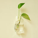 Garden Decor Transparent Glass Hanging Vase Flower Bottle Hydroponic Terrarium Container