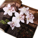 20Pieces 8cm Handmade Flower Silk Orchid Dendrobium Heads Bulk Floral Decor White