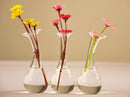 Siamesed 3-Flask Shape Flower Glass Vase Bottle Fish Tank Home Decoration