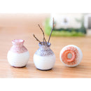 Miniature Delicate Vase Plant Landscape Micro Landschaft Bonsai Garden Decor
