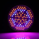 Gardening LED Grow Light Energy Saving Full Spectrum For Indoor Plants Vegetable Flower Growth 80W