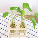 Set of 2 Clear Glass Jars on Wooden Tray Utensils Organizer Flower Vases Home Tabletop Decor