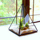 Stylish Modern Design Pyramid Shaped Glass Greenhouse Moss Miniature Decor Home Office Shop Supplies Clear