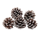 9pcs Christmas Pine Cones Baubles Xmas Tree Party Hanging Decorations