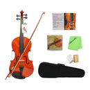 Maple Viola with Case String Bow Shoulder Rest Pad Resin Cleaning Cloth Set