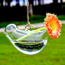 Clear Glass Wall Hanging Vase Bottle for Plant Flower Decorations--Bird