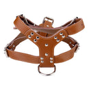 Adjustable Leather D-Ring Dog Chest Strap Belt Harness Safety Equipment Pet Supplies Brown