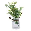 Miniature Potted Plants in Glass Bottle for 1/12 Dolls House Room Display Decoration