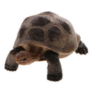 Realistic Animal Model Figurine Action Figures Educational Toy Tortoise