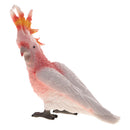 New Simulation Animal Model Figurine Action Figures Educational Toy - Parrot
