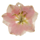 Pink Delphinium Epoxy Resin Real Dried Flower Pendant Charms for Jewelry Making DIY Necklace Earring with Hole