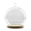 Ball Shaped Glass Cover DIY Plant Dry Flower Display Terrarium Microschaft Fairy Garden Container with Wooden Tray