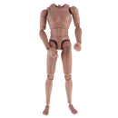 1:6 Scale Action Figure Wide Shoulder Muscular without Neck Body for TTM18 TTM19 Hot Toys