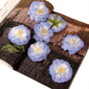 Artificial Camellia Flower Heads Silk Rose Hair Clip Wedding Party Decor Blue Pack Of 10PCS