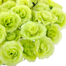 Artificial Realistic Silk Rose Flower Heads Bulk Wedding Party Table Centerpiece DIY Flowers Pack of 50PCS Green