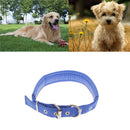 Soft Foam Comfortable Durable Use Adjustable Padded Nylon Pet Puppy Dog Basic Collar Safety Neck Strap Blue M