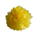 4Inch Tissue Paper Pom Pom Flower Ball Wedding Party Birthday Supplies Hanging Decor Yellow