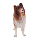 Simulation Science & Nature Farm Animal Bird Model Figurine Kids Toy Collection Home Decoration Party Favors- Dog