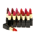 12 Colors Beauty Cosmetic Matte Lipstick Makeup Set Long Lasting Lip Stick