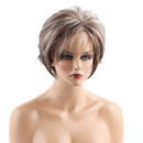Women Ladies Brown White Mixed Fluffy Layered Short Curly Wavy Full Hair Wig with Wig Cap for Cosplay