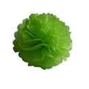 8Inch Tissue Paper Pom Pom Flower Ball Wedding Party Birthday Supplies Hanging Decor Green