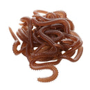 Smelly Flavored Soft Plastics Earthworm Fishing Lures with Box