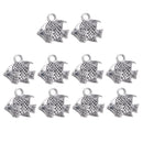 10Pcs Stainless Steel Tropical Fish Dangle Pendant Charms,Silver Tone Jewelry Findings for DIY Necklace Bracelets Pendant Making (12 x 10mm)