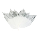 50pcs Natural Magnolia Skeleton Leaves Leaf Scrapbook Craft Supply Black+White