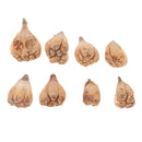 8 Pieces Natural Dried Flower Fruit Buddha's Hand Ornament for DIY Garland Florists Craft Home Party Garden Decoration