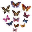 12 Pieces Night Glow Multicolor Butterfly Wall Stickers Art Decal Bathroom Bedroom Home Decor