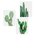 3pcs Canvas Painting Cactus Decor Nordic Plants Wall Art Cactus Decoration Unframed