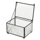 Vintage Cube Shape Clear Glass Terrarium Box Jewelry Box Tabletop Succulent Plant Fern Moss Display Vase