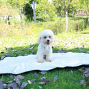 1Pcs Soft Warm Pet Blanket Bed Mat Pad Cover Cushion Puppy Animal Universal