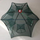 Folded Collapsible Fishing Net Minnow Crab Trap Lobster Shrimp Cast Mes UCJ
