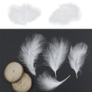 100pcs White Turkey Hair Feather for Wedding Bouquet Decor fgd QRF