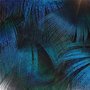100pcs Beautiful Natural Peacock Feather Plume Christmas Holiday Decorati ARM