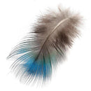 100pcs Beautiful Natural Peacock Feather Plume Christmas Holiday Decoration xcv