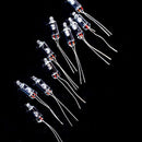 10 x Glass 5mm Mercury Switch Angle Tilt Switch Switches New fs NPM WRQ UKG